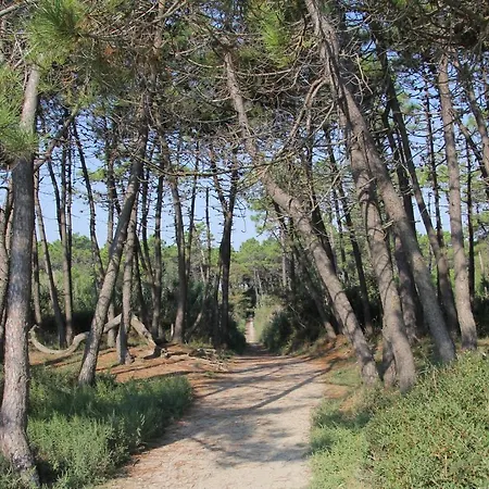 Holiday home Casalborsetti Porto Reno