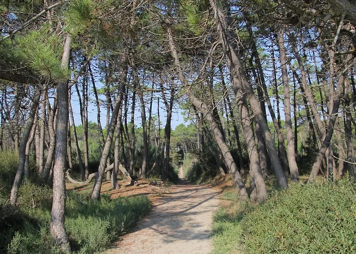 Holiday home Casalborsetti Porto Reno